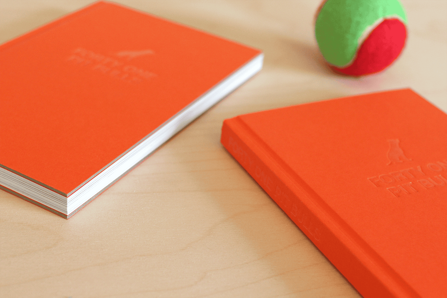 41Cover_Two_Books
