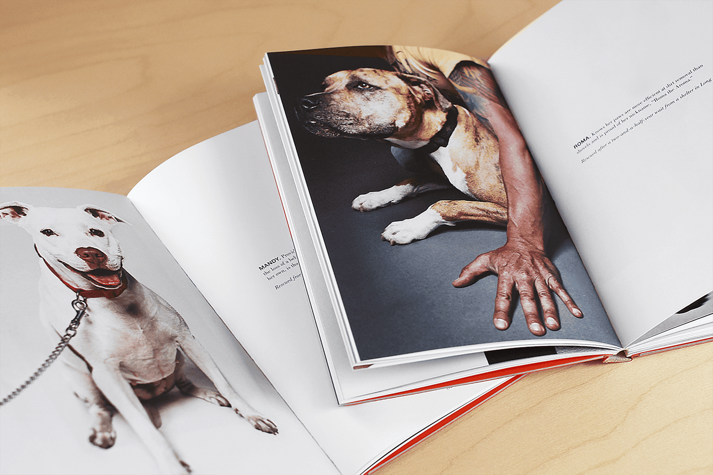 41Spread_Double_Spread