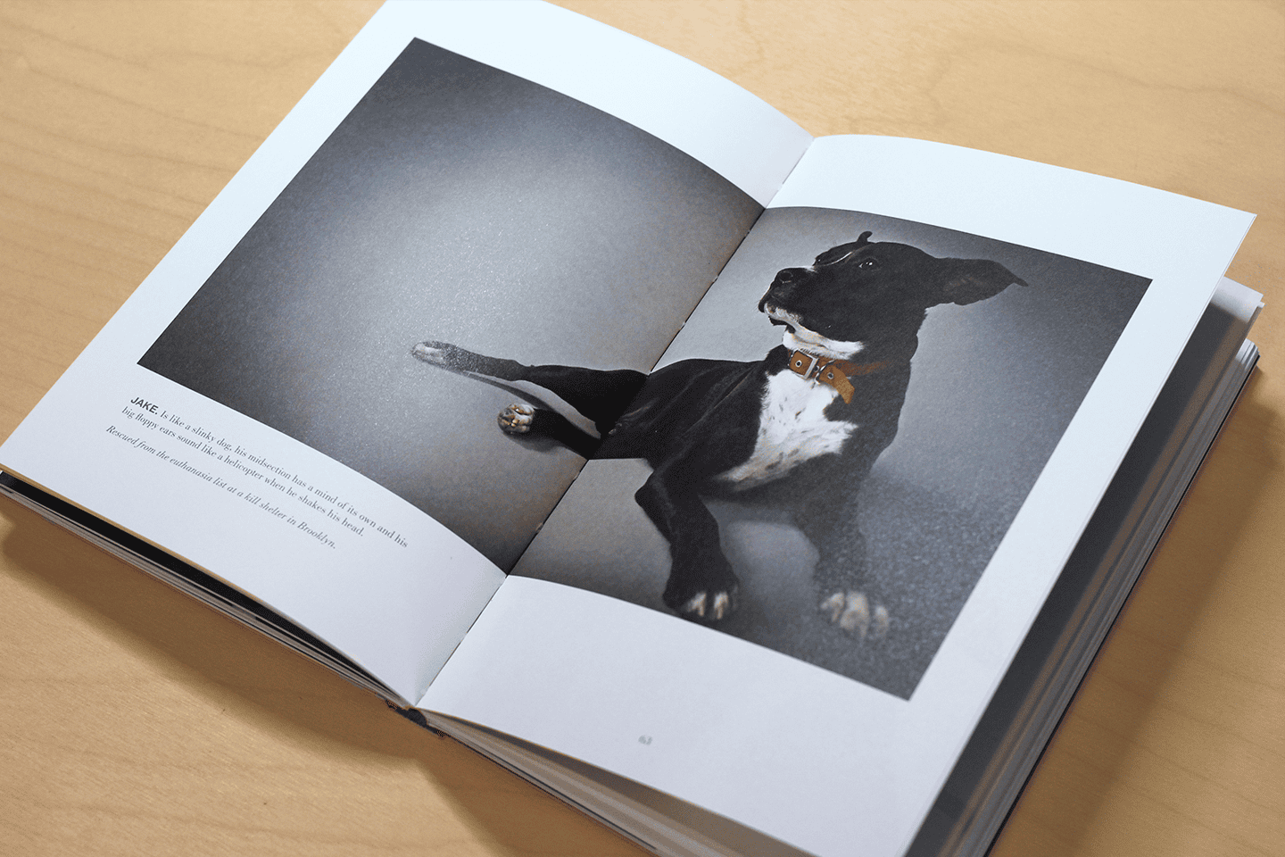 41Spread_Jake