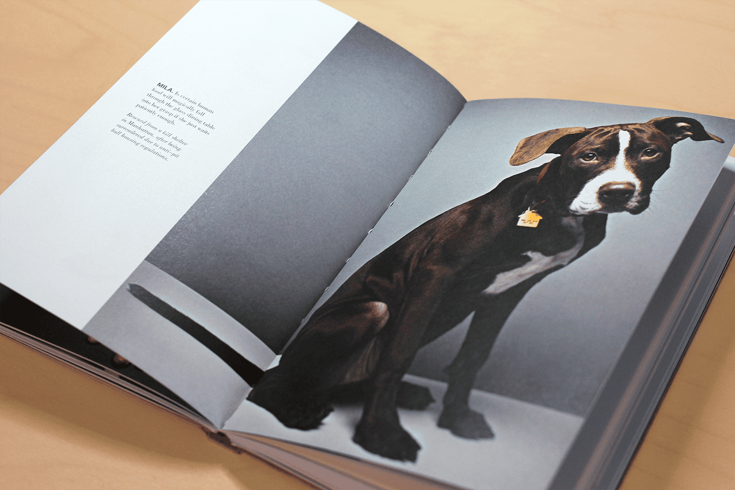 41Spread_Mila