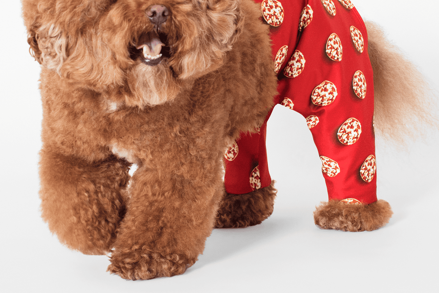 Bagel_Bites_DogsGlamour_2Leg