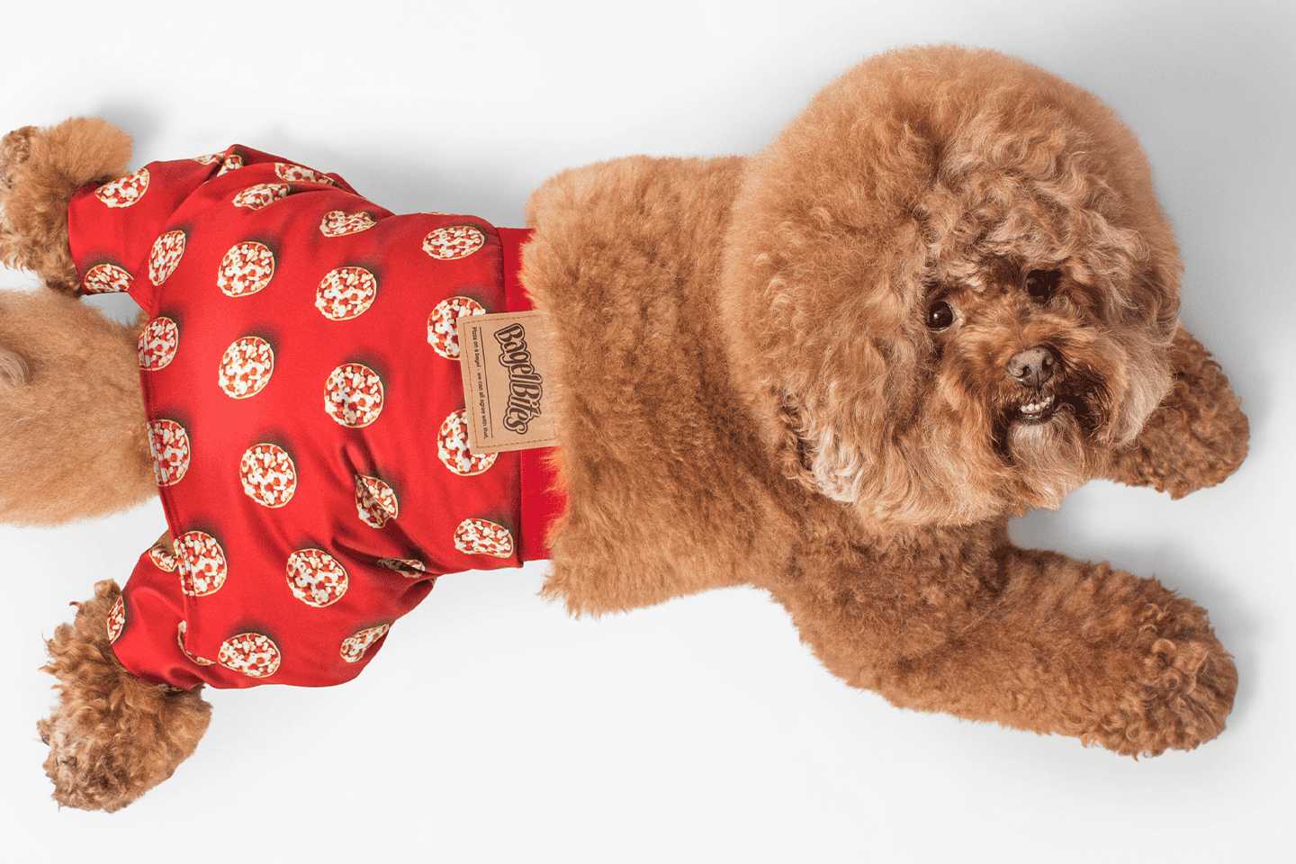 Bagel_Bites_DogsGlamour_2LegAlt