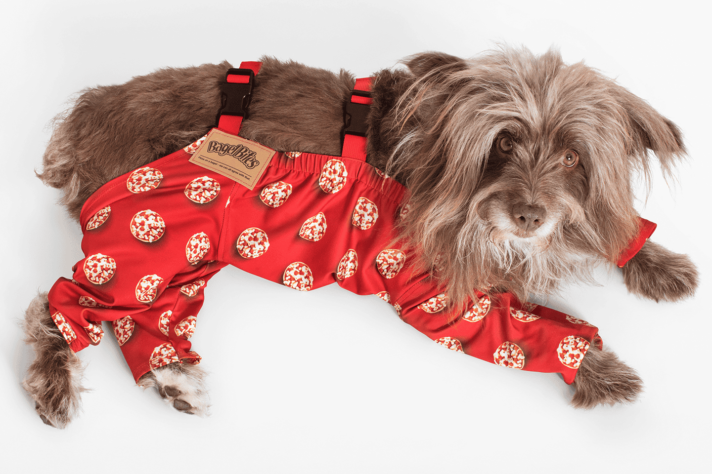 Bagel_Bites_DogsGlamour_4Leg