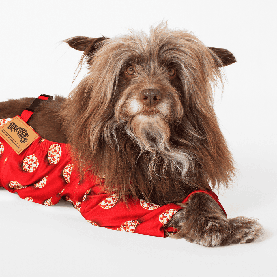 Bagel_Bites_DogsGlamour_4LegAlt