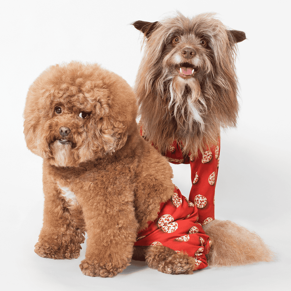 Bagel_Bites_DogsGlamour_Group