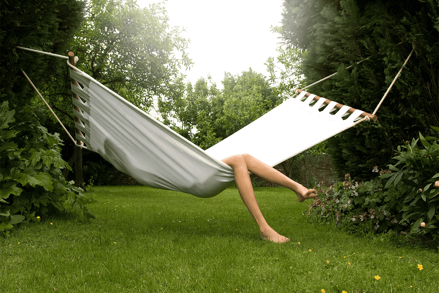 SapphireImg_1440_Hammock