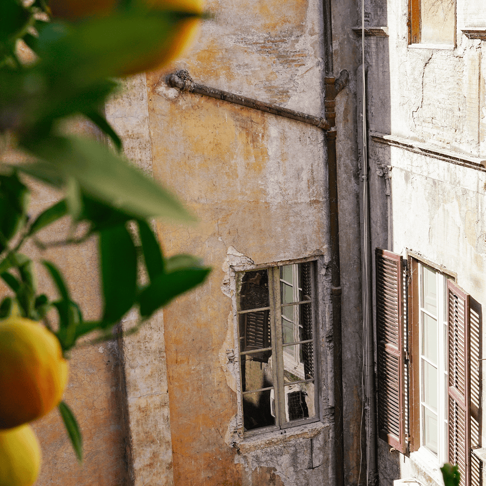 SapphireItaly_960_Fruit