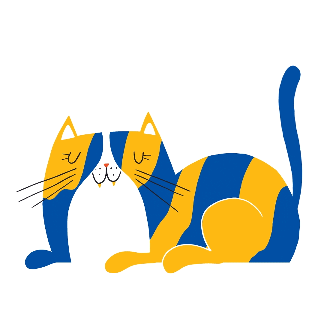BM_Cat