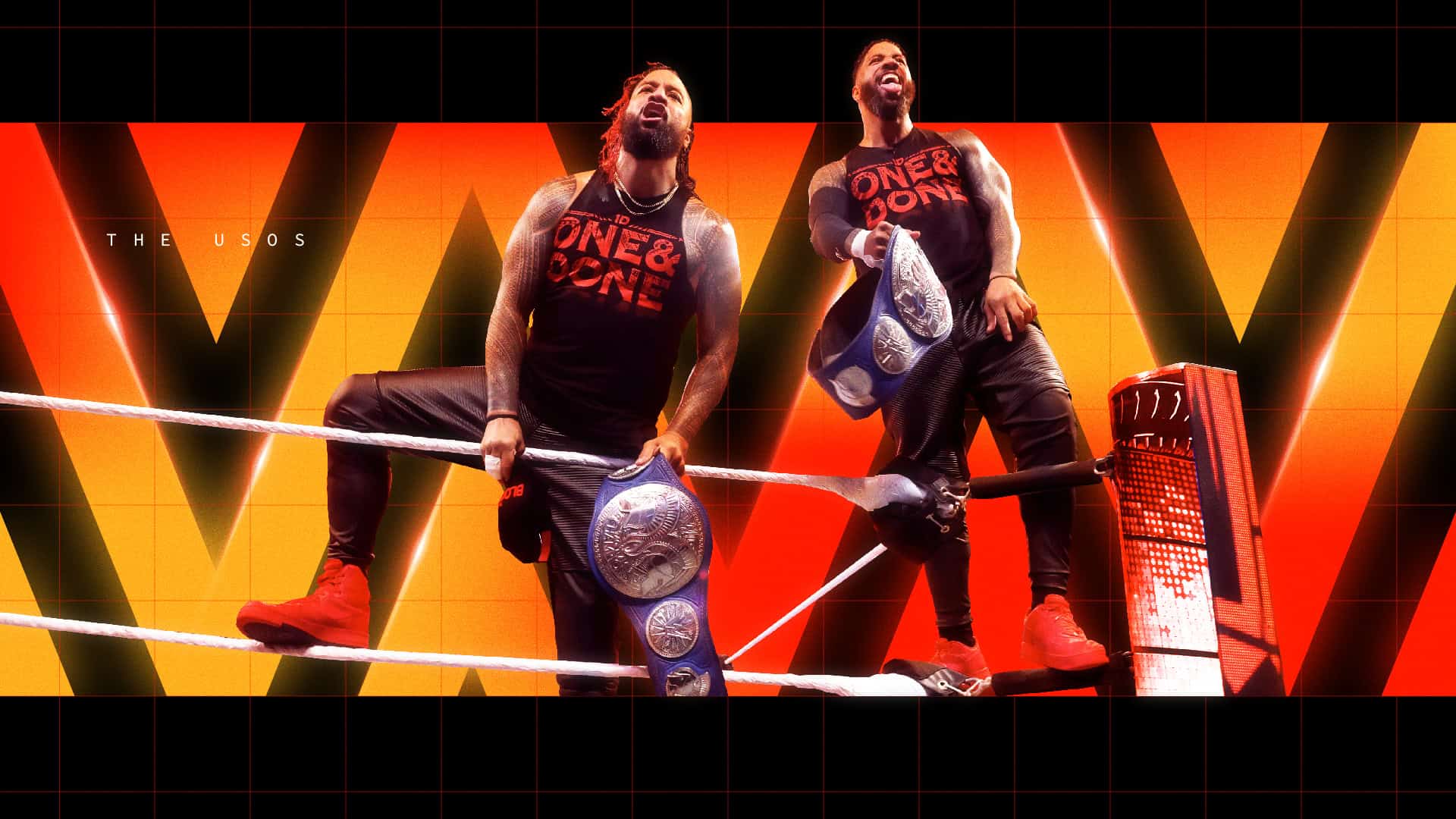 WWE_Texture Fin-01