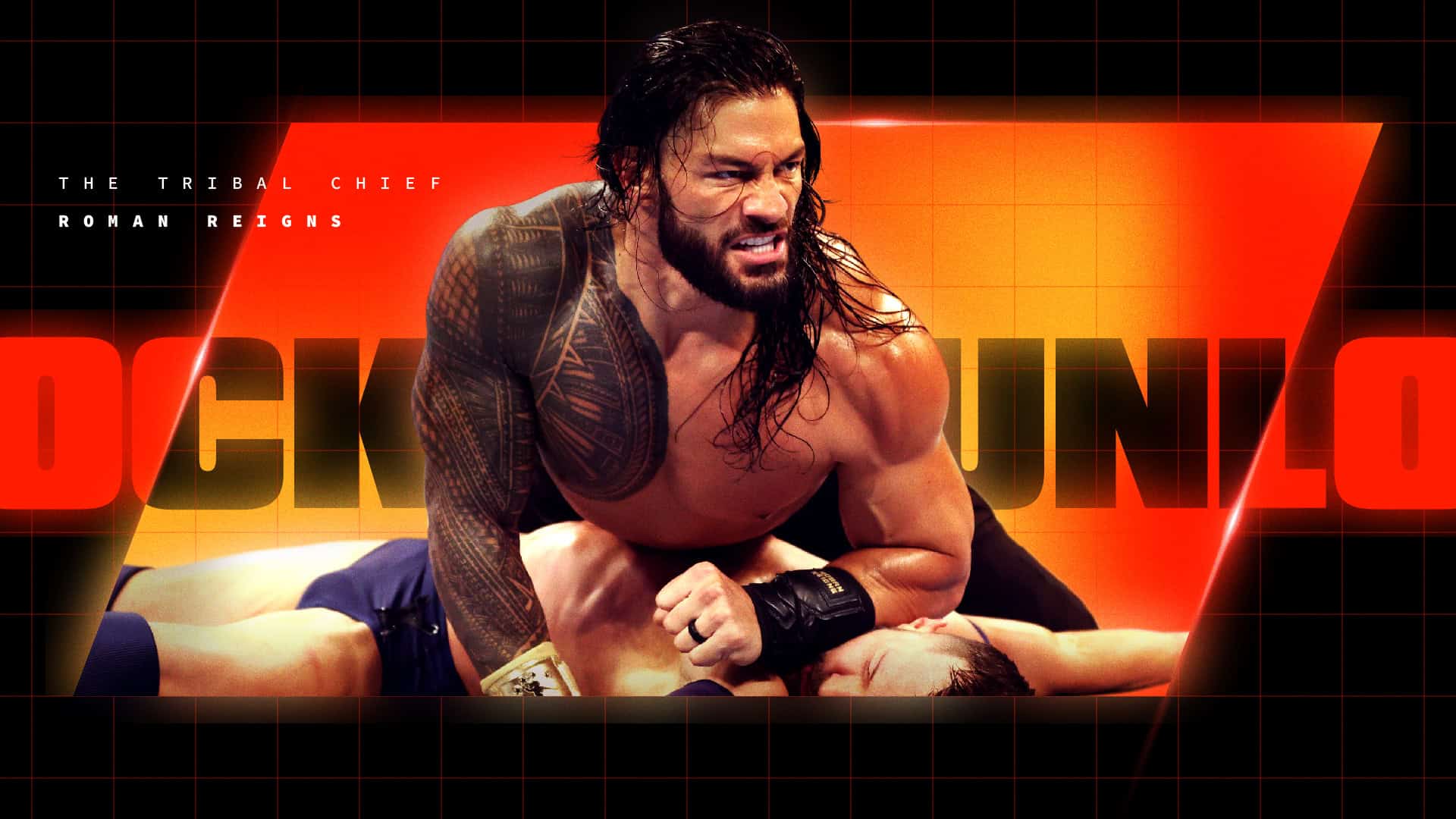 WWE_Texture Fin-03